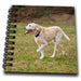 image of Mini Notepad 4 x 4 inch