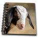 image of Mini Notepad 4 x 4 inch