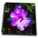 image of Mini Notepad 4 x 4 inch