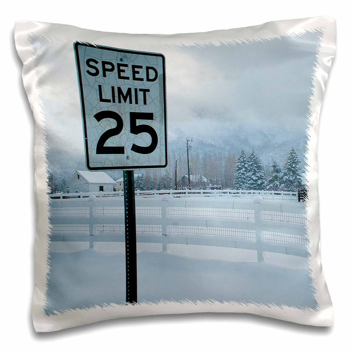 Pillow Case - A speed limit sign that says 25 Signs