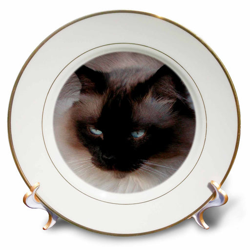 image of 8 inch Porcelain Plate