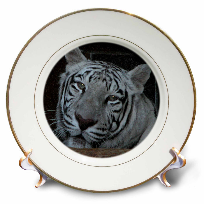 image of 8 inch Porcelain Plate