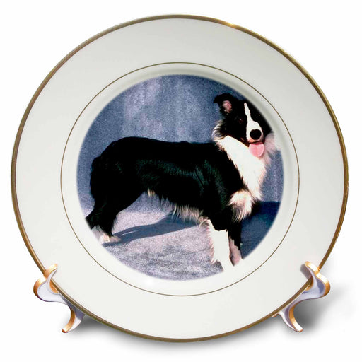 image of 8 inch Porcelain Plate