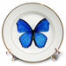 image of 8 inch Porcelain Plate