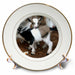 image of 8 inch Porcelain Plate