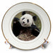 image of 8 inch Porcelain Plate