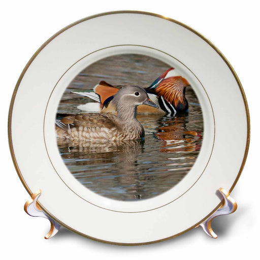 image of 8 inch Porcelain Plate