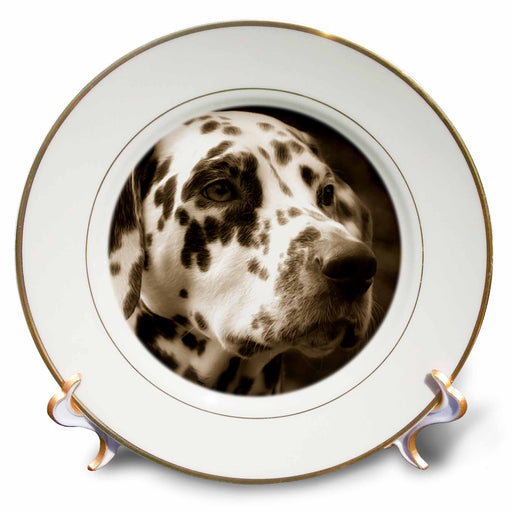 image of 8 inch Porcelain Plate