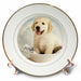 image of 8 inch Porcelain Plate