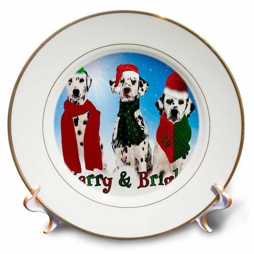 image of 8 inch Porcelain Plate