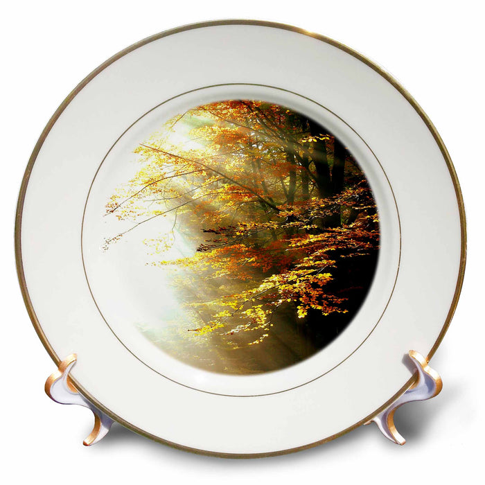 image of 8 inch Porcelain Plate