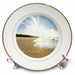 image of 8 inch Porcelain Plate