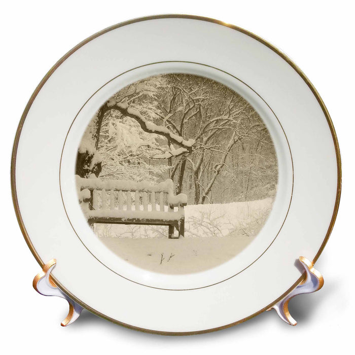 image of 8 inch Porcelain Plate