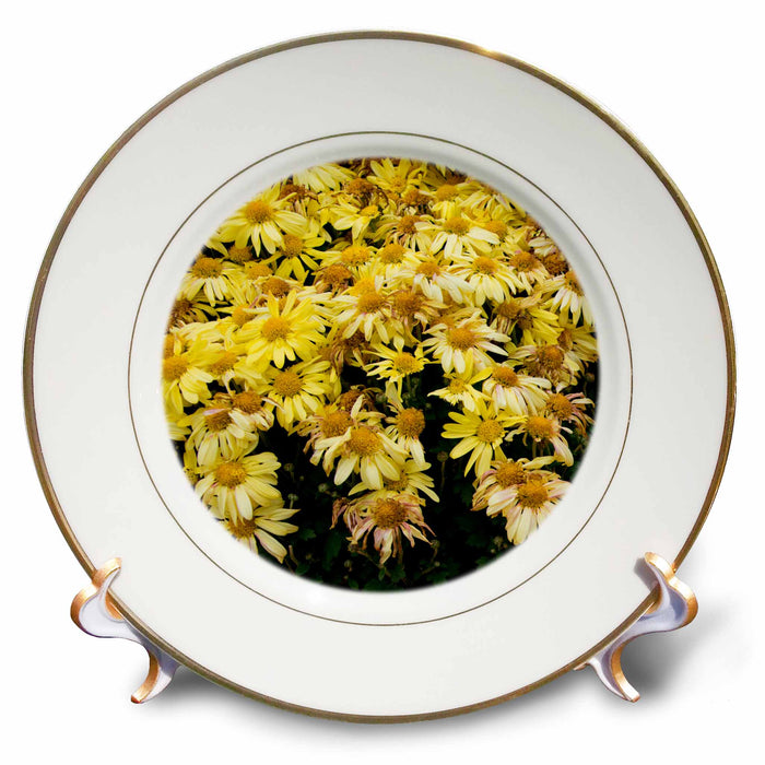 image of 8 inch Porcelain Plate