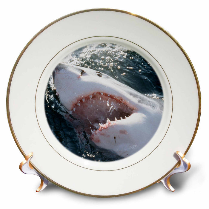 image of 8 inch Porcelain Plate