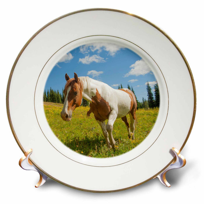 image of 8 inch Porcelain Plate