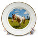 image of 8 inch Porcelain Plate