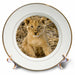 image of 8 inch Porcelain Plate