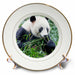 image of 8 inch Porcelain Plate