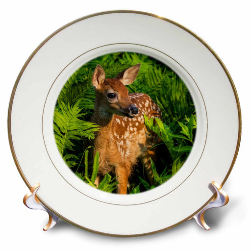 image of 8 inch Porcelain Plate