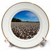 image of 8 inch Porcelain Plate