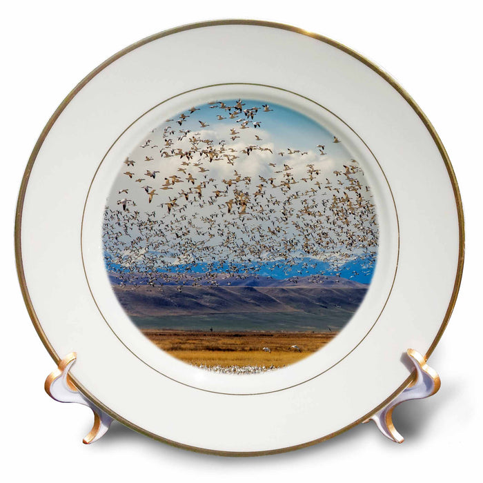 image of 8 inch Porcelain Plate