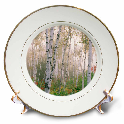 image of 8 inch Porcelain Plate