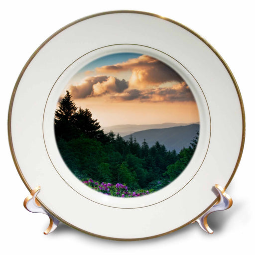 image of 8 inch Porcelain Plate