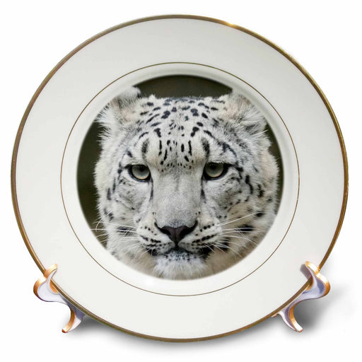 image of 8 inch Porcelain Plate