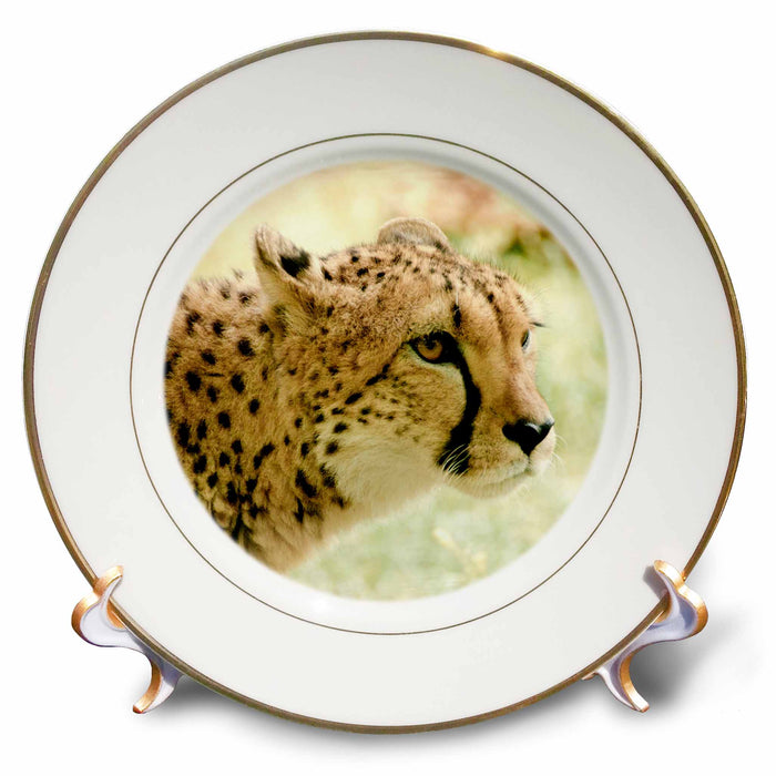 image of 8 inch Porcelain Plate