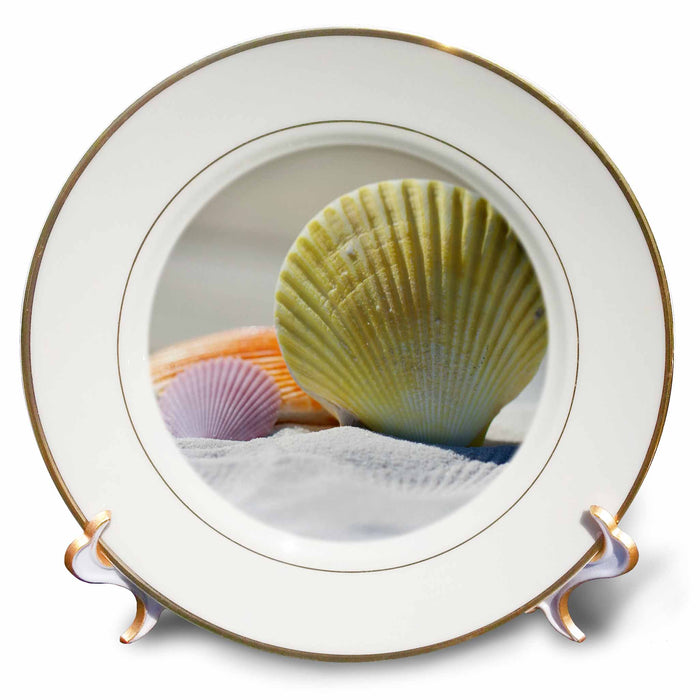 image of 8 inch Porcelain Plate