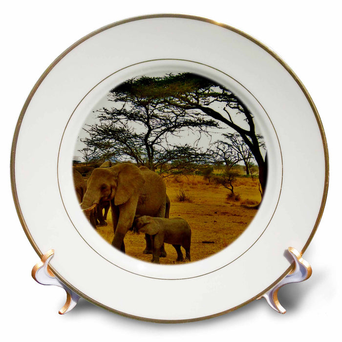 image of 8 inch Porcelain Plate