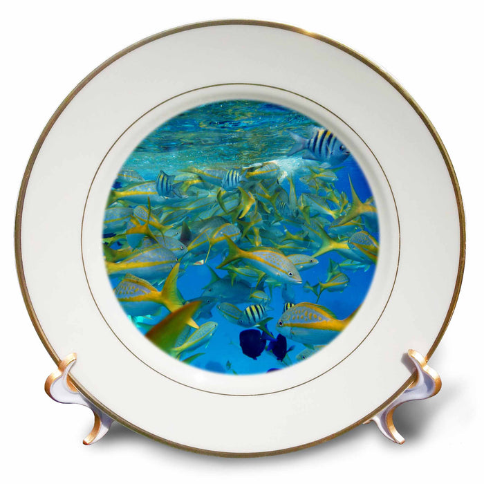 image of 8 inch Porcelain Plate