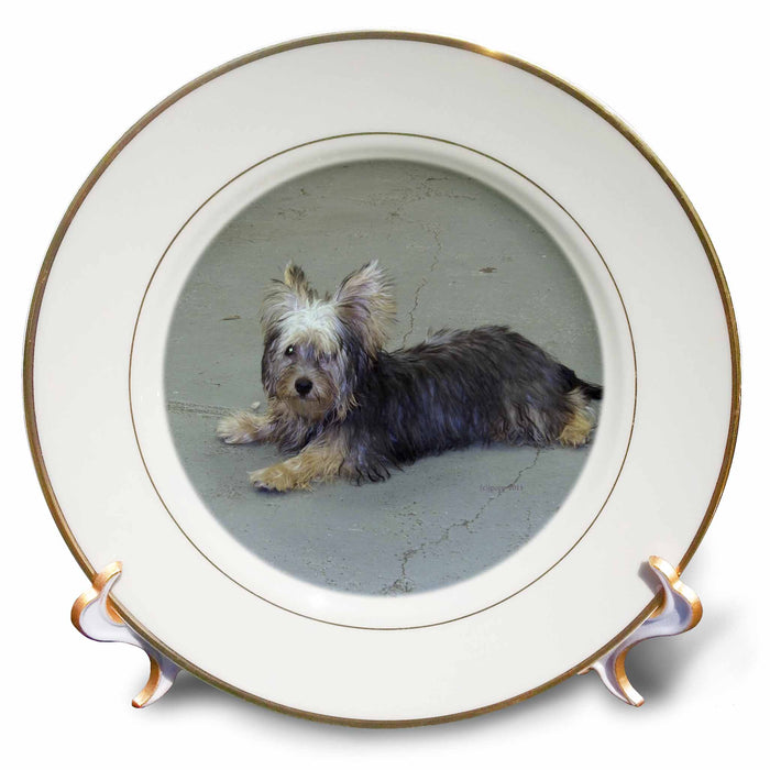 image of 8 inch Porcelain Plate