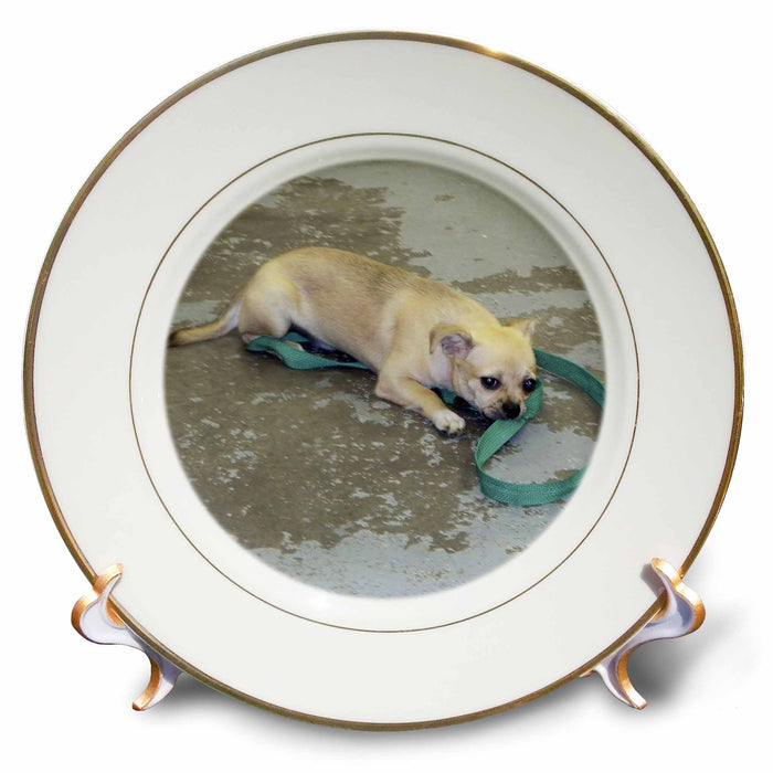 image of 8 inch Porcelain Plate