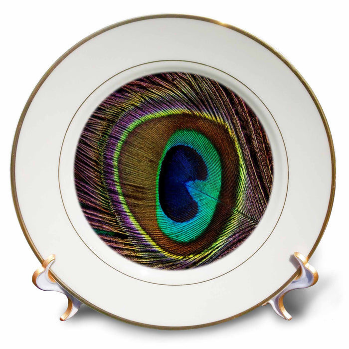 image of 8 inch Porcelain Plate