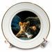 image of 8 inch Porcelain Plate