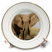 image of 8 inch Porcelain Plate