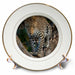 image of 8 inch Porcelain Plate