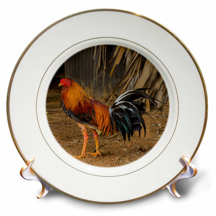 image of 8 inch Porcelain Plate