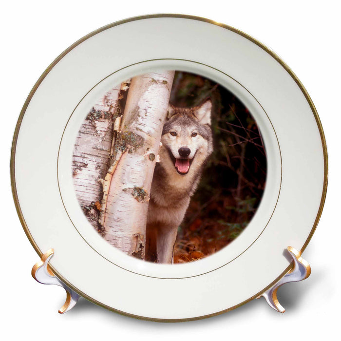 image of 8 inch Porcelain Plate