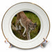 image of 8 inch Porcelain Plate