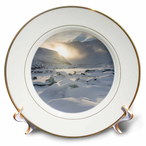 image of 8 inch Porcelain Plate