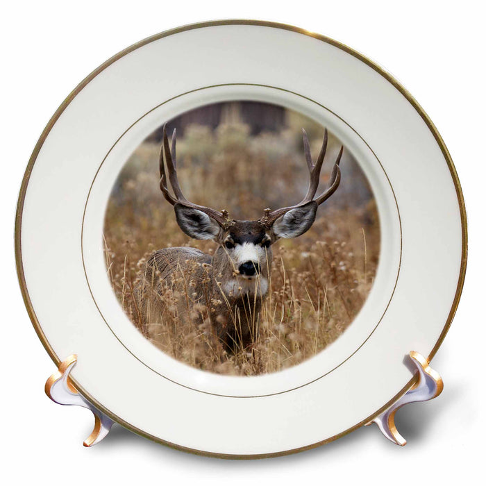 image of 8 inch Porcelain Plate