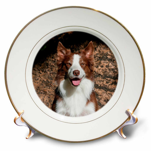 image of 8 inch Porcelain Plate