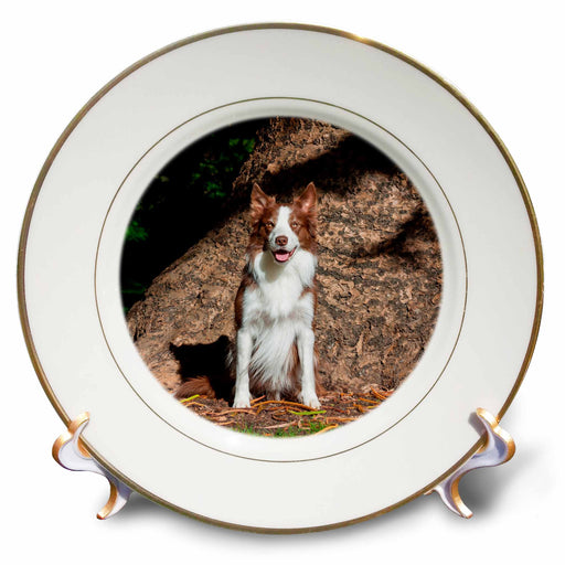 image of 8 inch Porcelain Plate