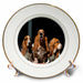 image of 8 inch Porcelain Plate