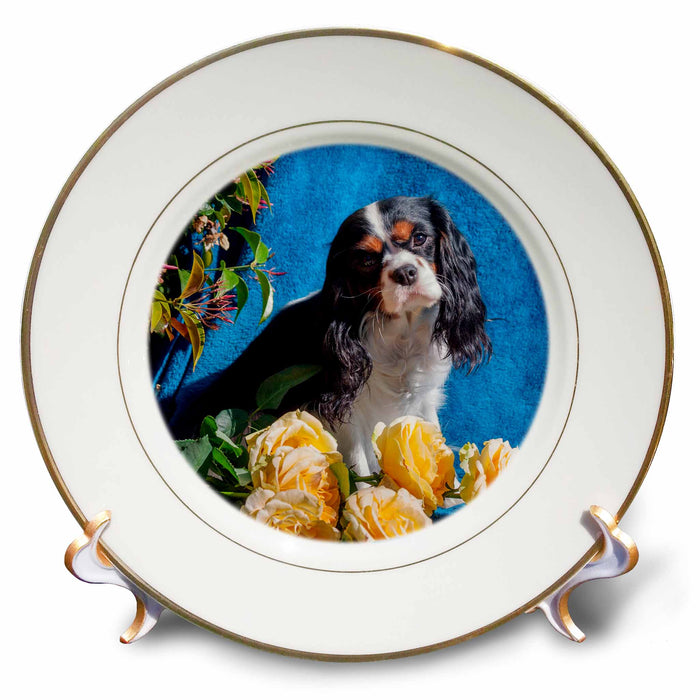 image of 8 inch Porcelain Plate