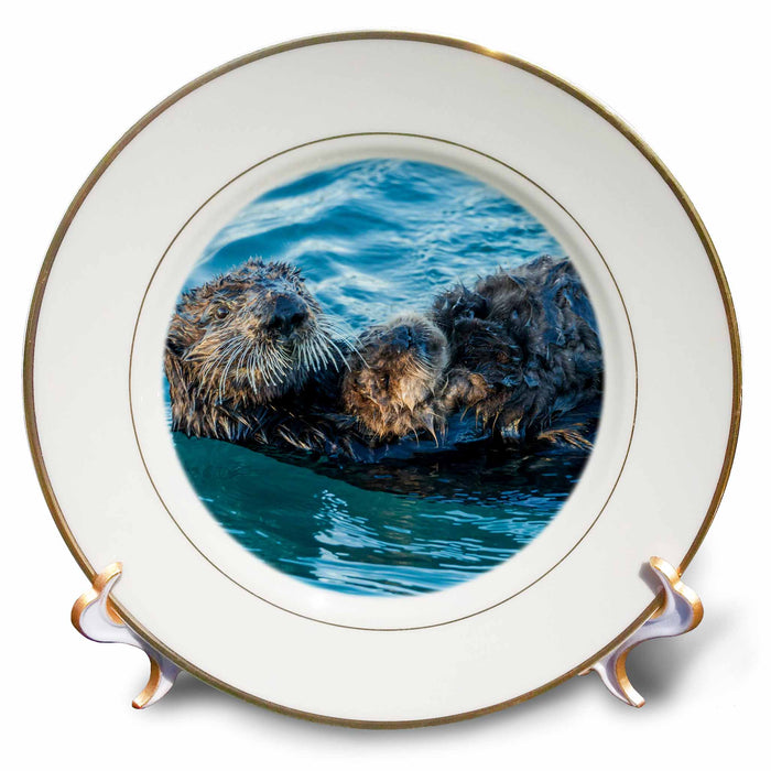 image of 8 inch Porcelain Plate