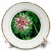 image of 8 inch Porcelain Plate